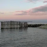 Apartmán Vue Bassin Port Ostreicole Et Lumineux Avec Piscine Et Balcon ! *