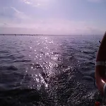 Apartmán Vue Bassin Port Ostreicole Et Lumineux Avec Piscine Et Balcon !