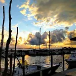 Vue Bassin Port Ostreicole Et Lumineux Avec Piscine Et Balcon ! *