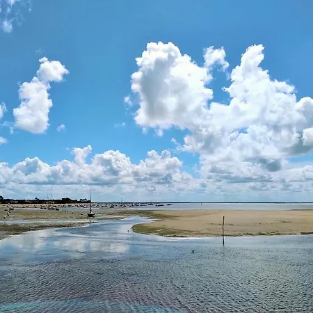 Vue Bassin Port Ostreicole Et Lumineux Avec Piscine Et Balcon ! *