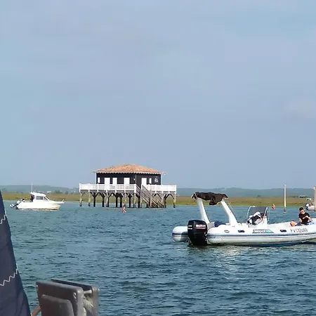 Vue Bassin Port Ostreicole Et Lumineux Avec Piscine Et Balcon ! Андерно-ле-Бэн