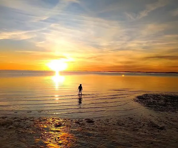 Vue Bassin Port Ostreicole Et Lumineux Avec Piscine Et Balcon ! Apartment
