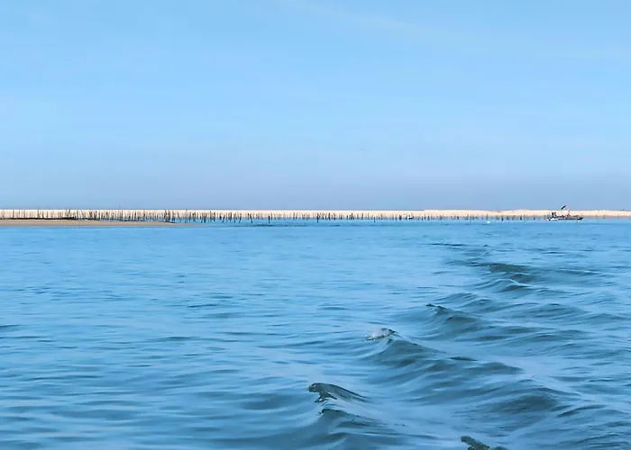Apartment Vue Bassin Port Ostreicole Et Lumineux Avec Piscine Et Balcon ! Andernos-les-Bains